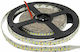 Optonica Ταινία LED 12V Ψυχρό Λευκό Φως 5m Τύπου SMD2835