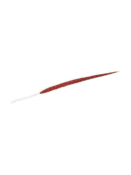 Espiel Decorative Feather Red 90cm 1pcs