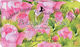 Florinda Vegetable Soap 100gr