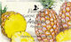 Florinda Vegetal Soap 100gr