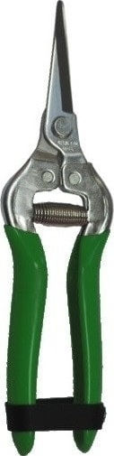 Prognik Gerade Inox 190mm Traubenschere mit Maximalem Schnittdurchmesser 19mm