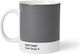 Pantone Lifestyle Porcelain Cup Cool Gray 375ml