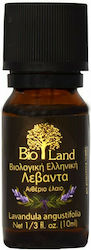 Bio Land Organic Ulei Esențial Lavanda 10ml