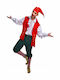 Christmas Costume Christmas Helper Red