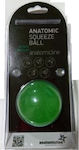 Anatomic Line Antistress Ball Green