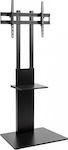 Reflecta TV Stand Elegant 70S 23213 Fernsehhalterung Boden bis 70" und 40kg