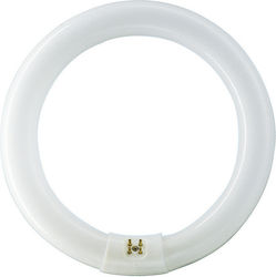 Plight Halogen Λάμπα Φθορίου με Σχήμα T9 32W