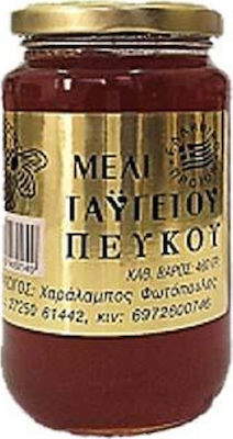 Φωτόπουλος Χαράλαμπος Μέλι Πεύκου 960gr