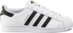 Adidas Superstar Sneakers Cloud White / Core Black