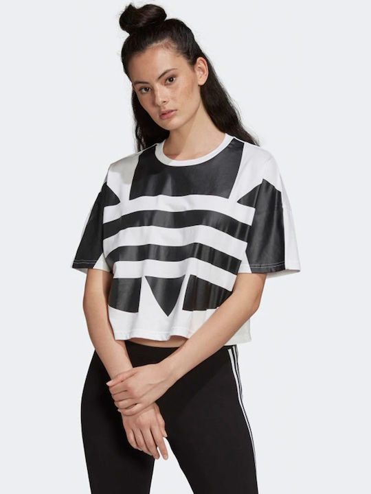 Fm2564 on sale