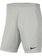 Dry Park III Sports Men's Shorts Dri-Fit Grey