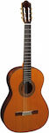 Almansa 457 Classic Concert Classical Guitar 4/4 Natural