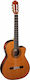 Almansa 459 Cut-Away/Electric E2