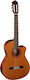 Almansa 403 Cut-Away Electric