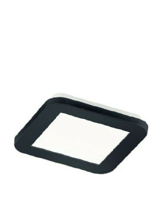 Trio Lighting Camillus Platz Draußen LED Panel ...