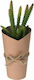 Cb cases Artificial Plant in Small Pot Cactus 317002840 Brown 20cm 1pcs