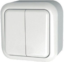 Geyer IP20 External Electrical Lighting Wall Switch with Frame Basic White