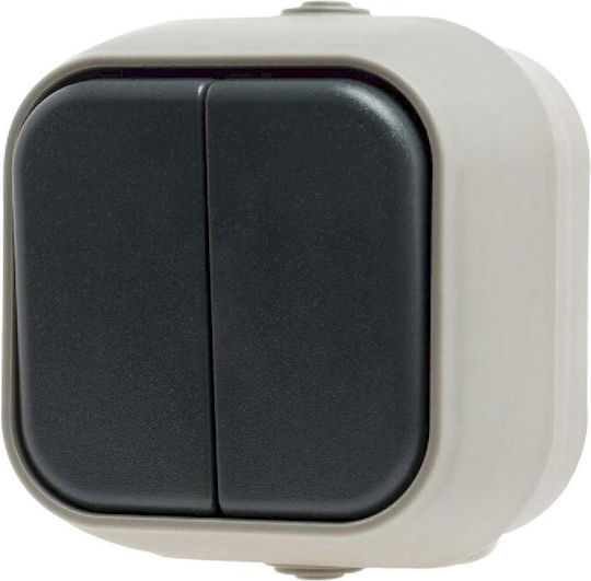 Geyer IP54 Waterproof Wall-Mounted Wall Switch Double with Frame Gray