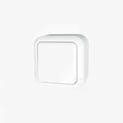 Geyer IP 20 Wall-mounted Basic Wall Switch Sing...