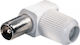 Plug Coaxial male Whitr