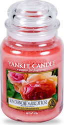 Yankee Candle Αρωματικό Κερί σε Βάζο Sun-Drenched Apricot Rose 623gr