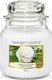 Yankee Candle Scented Candle Jar with Scent Camelia Blossom White 411gr 1pcs