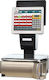 Digi Systems SM-5500A EV 12.1"-12.1" Electronic Retail Scale with Column and Label Printing Capability with Weighing Capacity of 15kg and Division 2gr