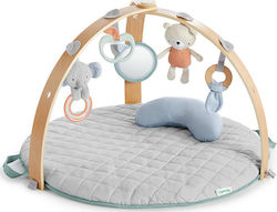 Ingenuity Cozy Spot Gimnastică pentru Nou-Născuți Ingenuity Cozy Spot Gimnastică pentru Nou-Născuți
