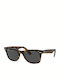 Ray Ban Wayfarer Унисекс Слънчеви Очила с Кафяви Костенуркови Пластмасови Рамки и Черни Стъкла