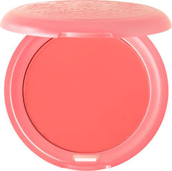 Stila Ρουζ Convertible 4.25gr Stila Ρουζ Convertible 4.25gr