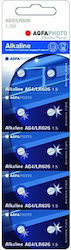 AgfaPhoto AG4 Αλκαλικές Μπαταρίες LR66 1.5V 10τμχ