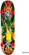 Athlopaidia Complet Placă scurtă Multicolor Dra...