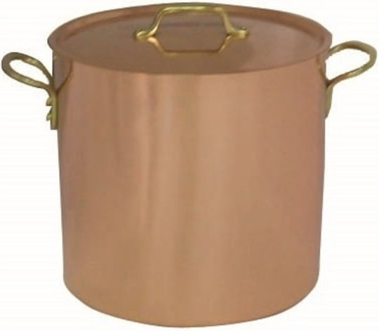 JDS Marmite Kapazität 6.2Es mit Durchmesser 20cm.