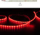Adeleq LED Streifen Versorgung 24V mit Rot Licht Länge 5m und 60 LED pro Meter SMD5050