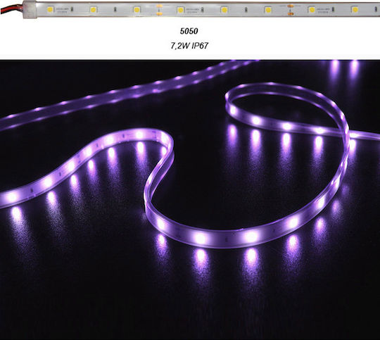 Adeleq Αδιάβροχη Ταινία LED 12V RGB Φως 5m Τύπου SMD5050