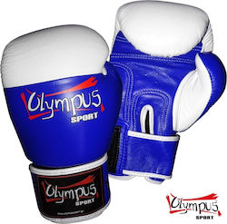 Raja By Raja Competition Genuine Leather 401410 Leather Boxing Competition Gloves Blue