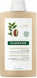 Klorane Nourishing & Repairing Shampoos für Tro...