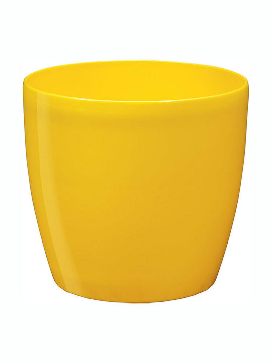 Roto Brillante Κασπώ σε Κίτρινο Χρώμα 18x16.5cm