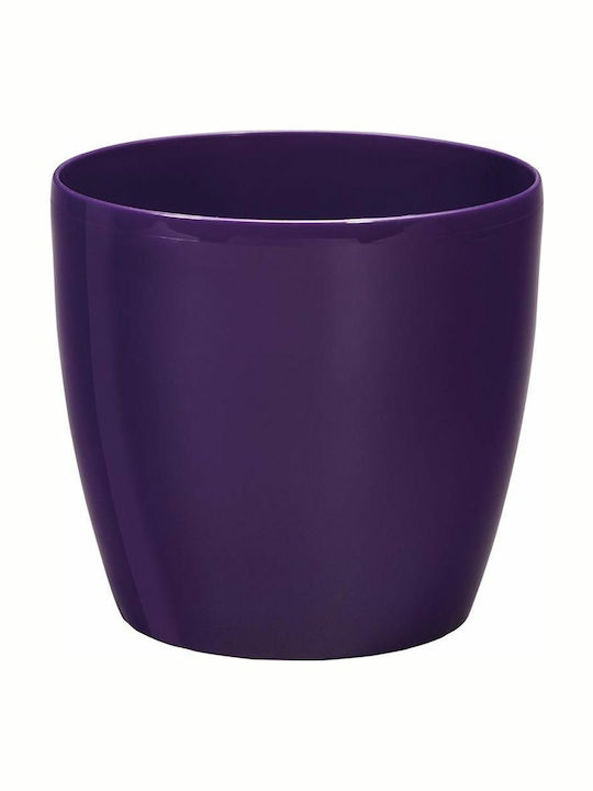 Roto Brill Μωβ Φ14cm Pot Purple 14cm