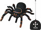 Spider Tarantula Remote Controlled Toy