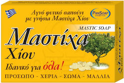 PanSoap Mastic Soap 100gr