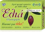 PanSoap Olive Oil Soap 100gr