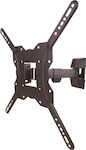 Well SW155 75008 Wall TV Mount with Arm up to 55" and 20kg