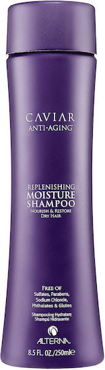 Alterna Caviar Anti-Aging Replenishing Moisture Shampoos für Trocken Haare 250ml