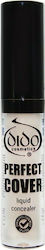 Dido Cosmetics Perfect Cover Concealer 100 8ml