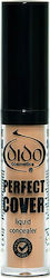 Dido Cosmetics Perfect Cover Liquid Concealer 104 8ml