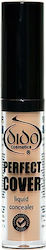 Dido Cosmetics Perfect Cover Concealer 102 8ml