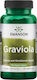 Swanson Graviola 530mg 60 κάψουλες