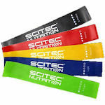 Scitec Nutrition Loop Bands Set 5pcs Multicolored 0.51m