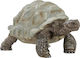 Schleich-S Miniatur-Spielzeug Χελώνα 3cm (Verschiedene Designs/Sortimente von Designs) 1 Stk